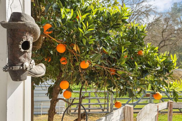 6310 Abouaf Ct, Valley Springs, CA 95252