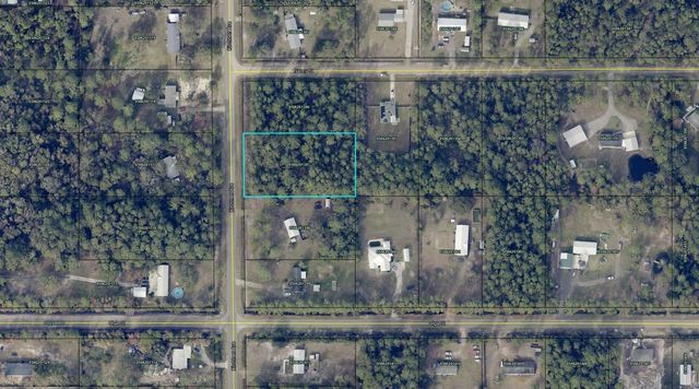 10040 Kirchherr Ave, Hastings, FL 32145