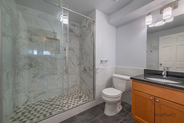 2841 S Wells Street 1W, Chicago, IL 60616