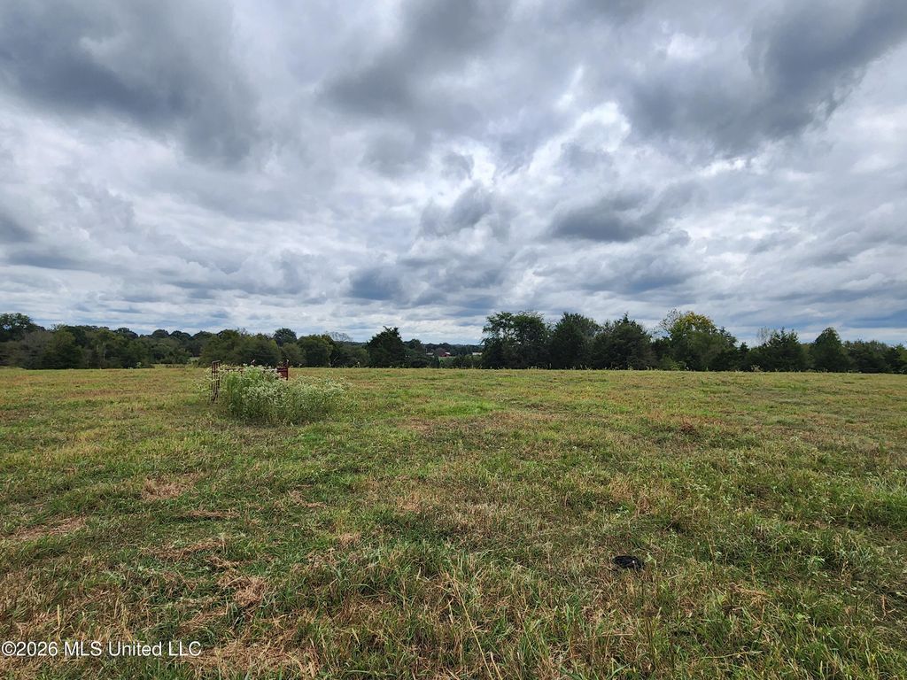 11.09 Bub Jamison Road, Coldwater, MS 38618 — photo 4
