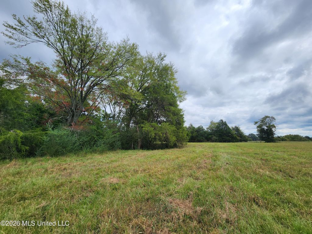 11.09 Bub Jamison Road, Coldwater, MS 38618 — photo 5