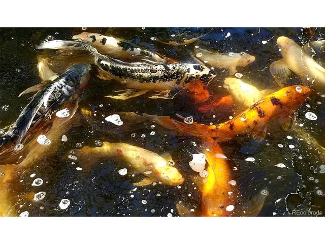 10716 Steele St, Northglenn, CO 80233