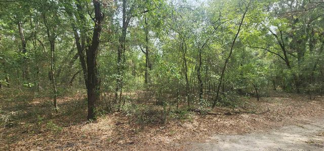 TBD Helen Place, Hawthorne, FL 32640