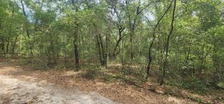 TBD Helen Place, Hawthorne, FL 32640