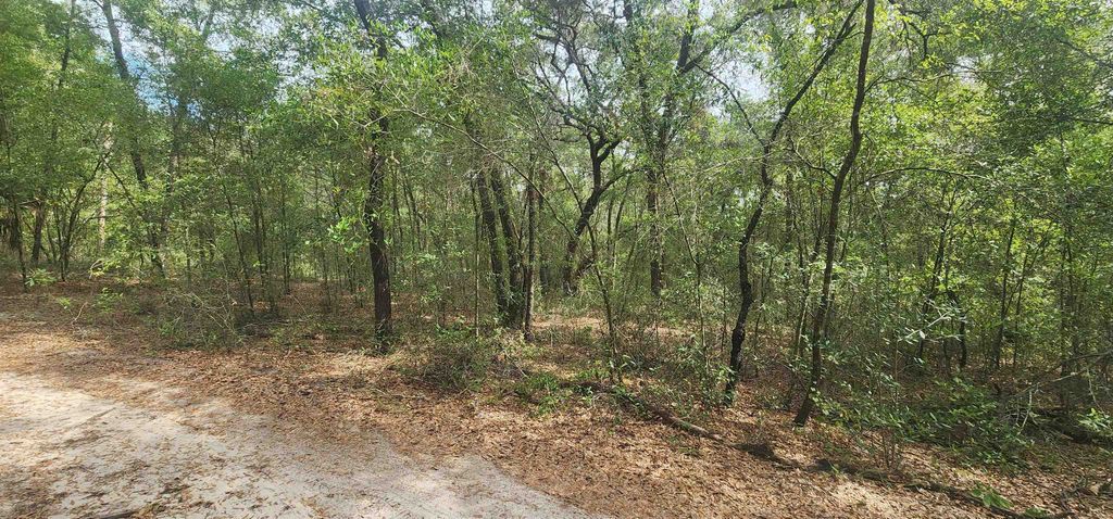 TBD Helen Place, Hawthorne, FL 32640