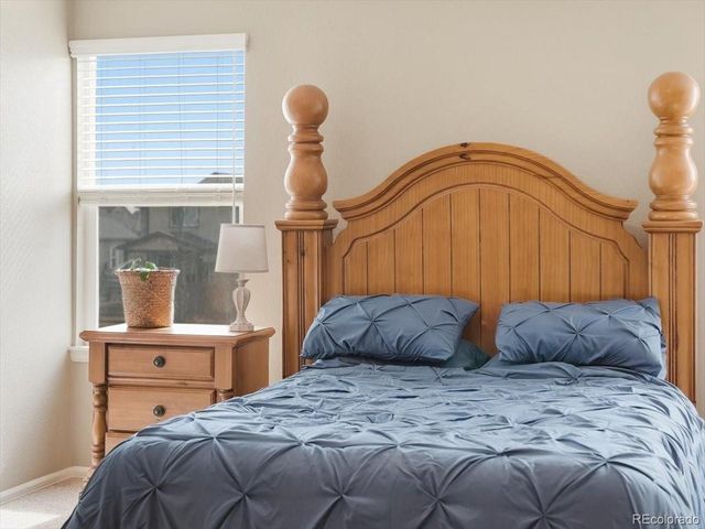 1557 Edenbridge Dr, Windsor, CO 80550