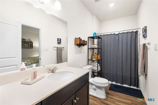 221 Gabriels Bluff Drive, Georgetown, TX 78626
