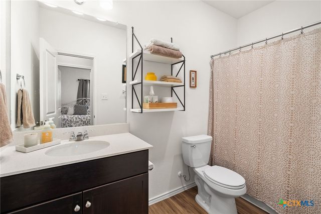 221 Gabriels Bluff Drive, Georgetown, TX 78626