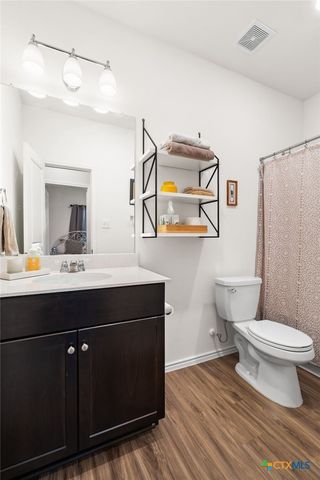 221 Gabriels Bluff Drive, Georgetown, TX 78626