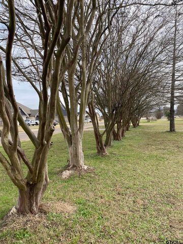 16133 County Road 4100, Lindale, TX 75771