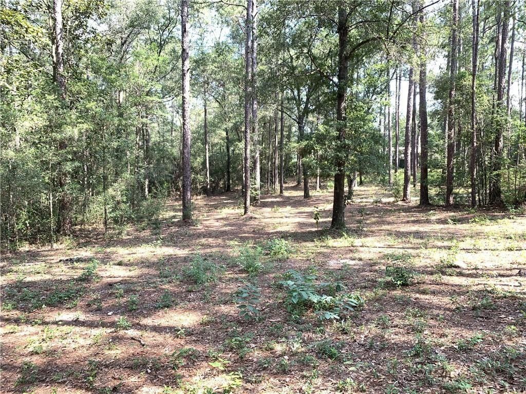 0 Leroy Stevens Road, Mobile, AL 36619 — exterior