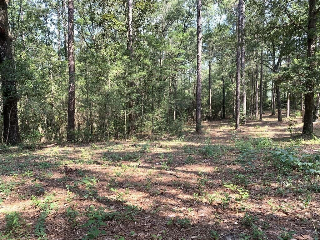 0 Leroy Stevens Road, Mobile, AL 36619 — photo 2