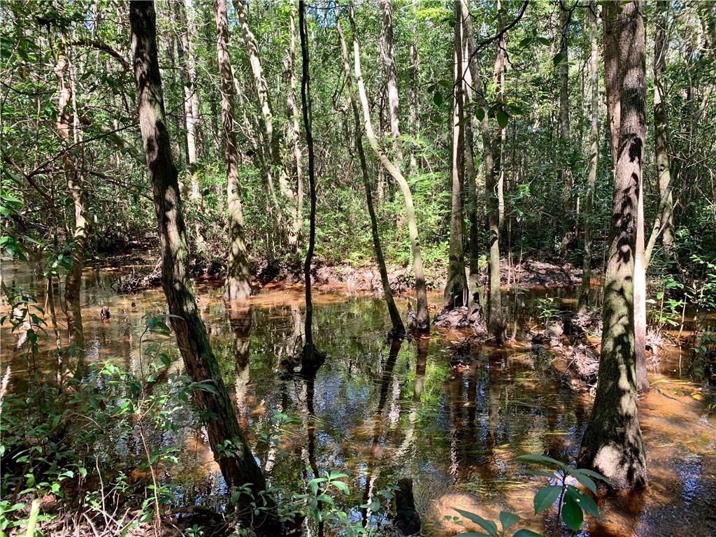0 Leroy Stevens Road, Mobile, AL 36619 — photo 3