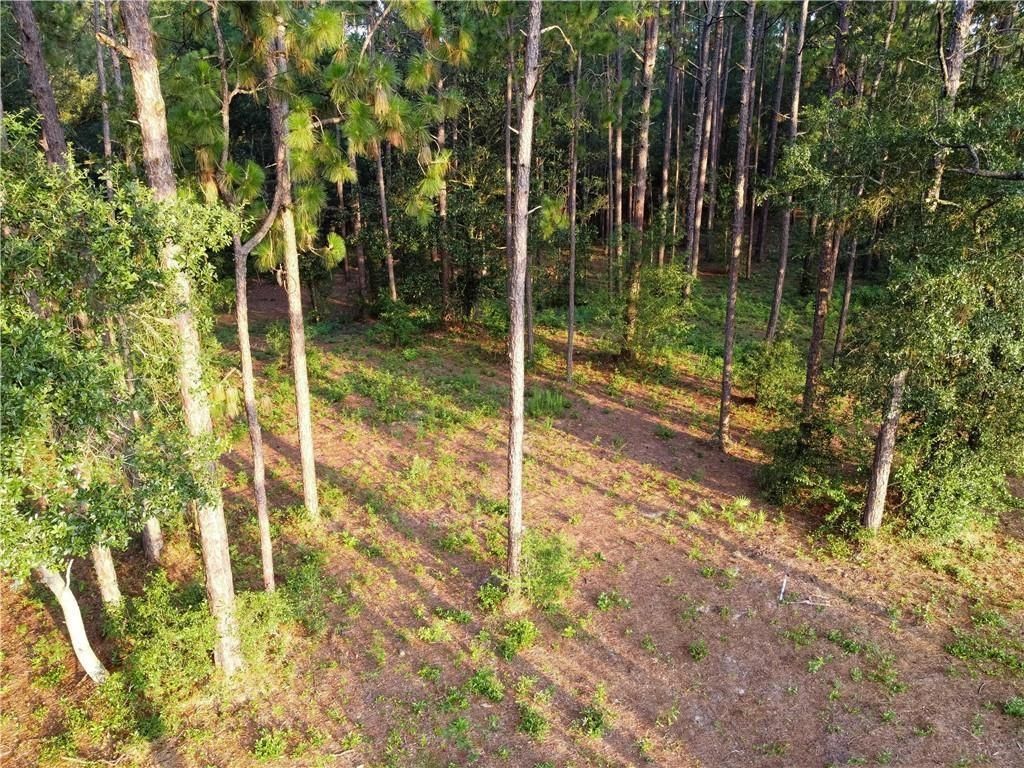 0 Leroy Stevens Road, Mobile, AL 36619 — photo 5