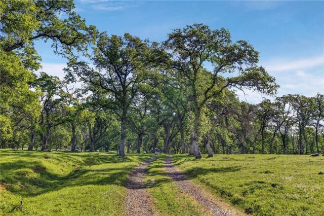 7680 Walsh, Smartsville, CA 95977