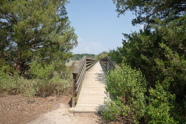 4150 Nature View Circle, Johns Island, SC 29455