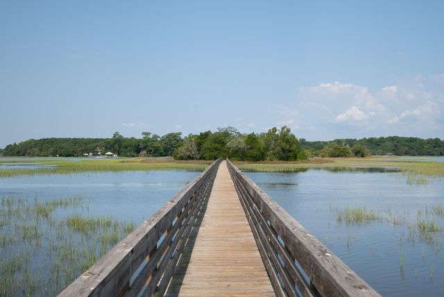 4150 Nature View Circle, Johns Island, SC 29455