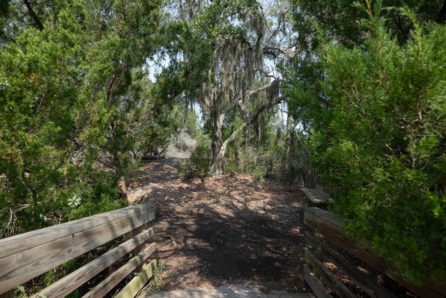 4150 Nature View Circle, Johns Island, SC 29455