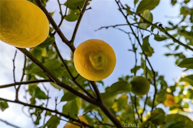 7415 Candle Light Drive, Jurupa Valley, CA 92509