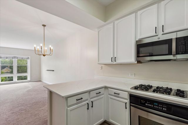 300 E Church Street 307, Libertyville, IL 60048
