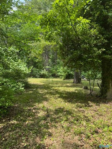 10106 Bluff Drive, Huntsville, AL 35803