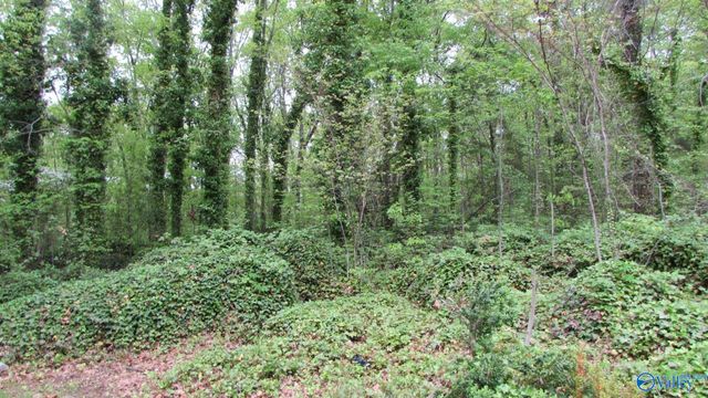 10106 Bluff Drive, Huntsville, AL 35803