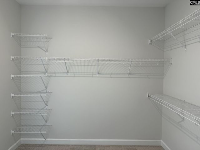 222 Horse Farm Place, Lexington, SC 29072