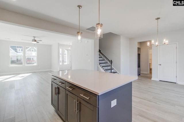 222 Horse Farm Place, Lexington, SC 29072