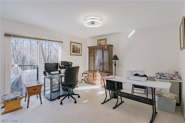 6919 Woodwalk Drive 38, Brecksville, OH 44141
