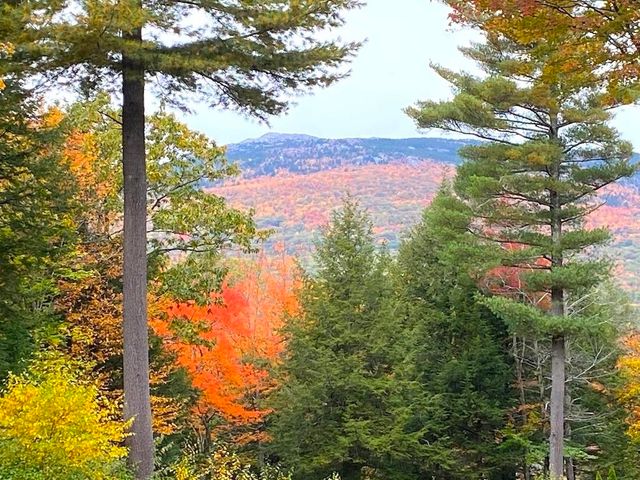 177 & 179 Dublin Road, Jaffrey, NH 03452
