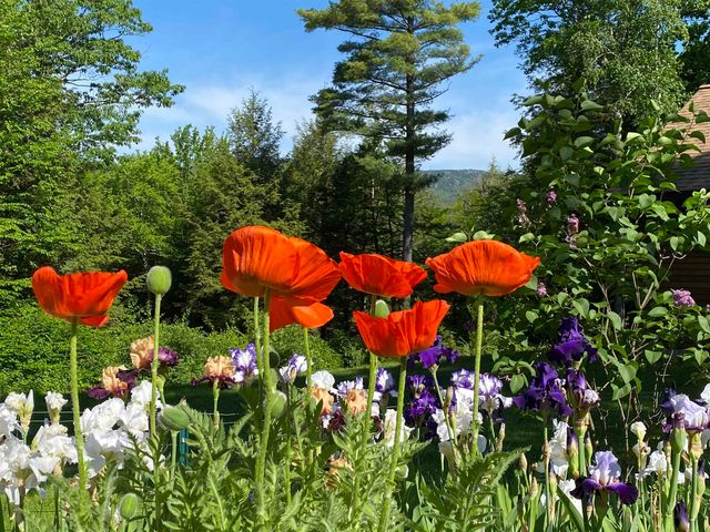 177 & 179 Dublin Road, Jaffrey, NH 03452