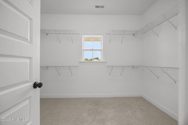 867 Lendy Drive, Greenville, NC 27858