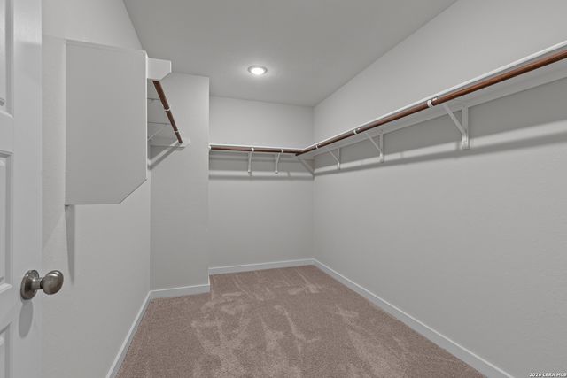 12419 Spike Heights, San Antonio, TX 78245