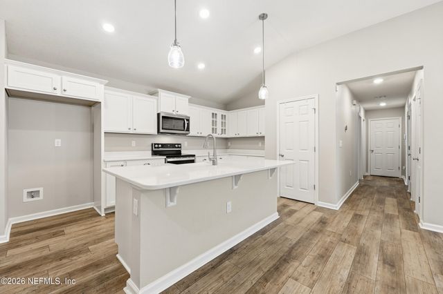 2935 LUCILLE Lane, Middleburg, FL 32068