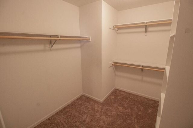 209 JACKAL DR, Columbia, MO 65202