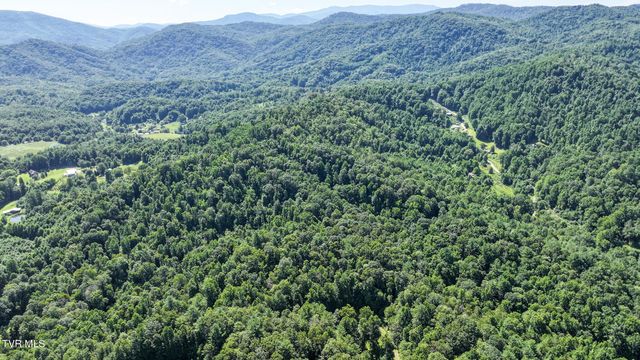 390 Fiddlers Branch Road, Hampton, TN 37658