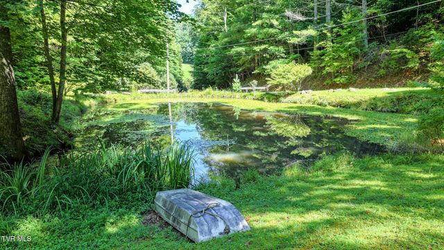390 Fiddlers Branch Road, Hampton, TN 37658