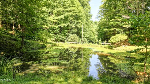 390 Fiddlers Branch Road, Hampton, TN 37658