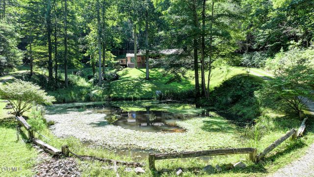 390 Fiddlers Branch Road, Hampton, TN 37658