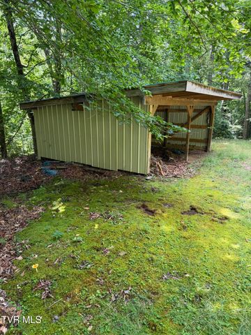 390 Fiddlers Branch Road, Hampton, TN 37658