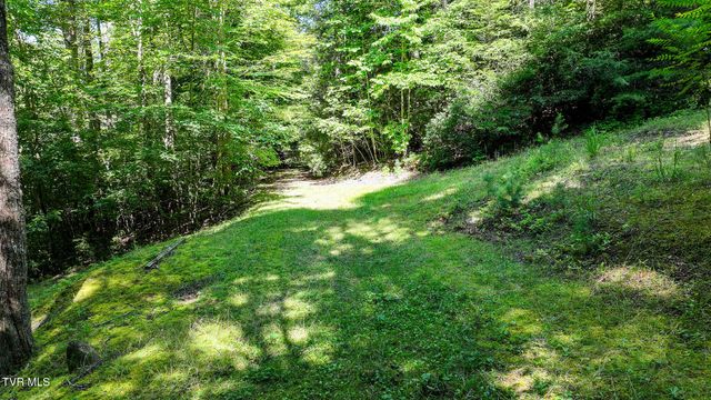 390 Fiddlers Branch Road, Hampton, TN 37658