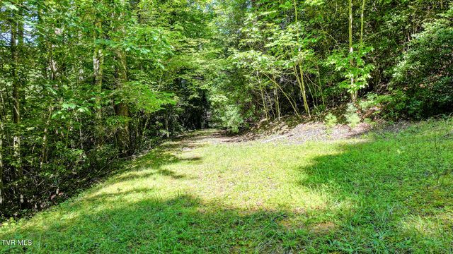 390 Fiddlers Branch Road, Hampton, TN 37658