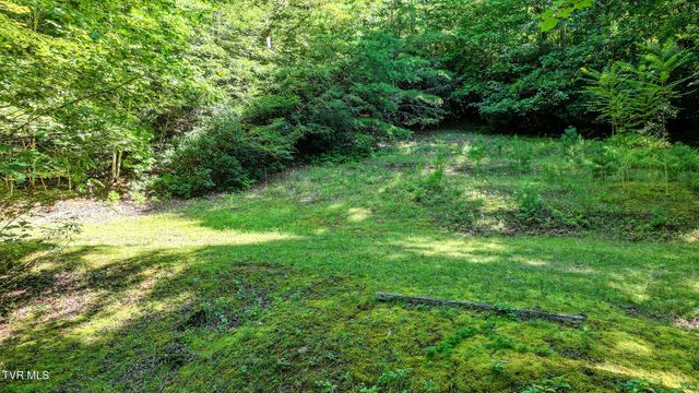 390 Fiddlers Branch Road, Hampton, TN 37658
