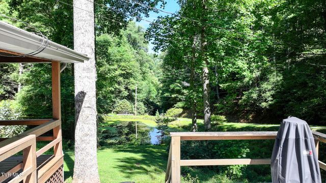 390 Fiddlers Branch Road, Hampton, TN 37658