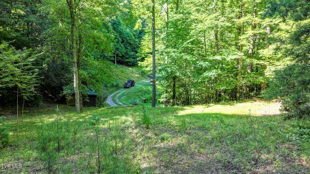 390 Fiddlers Branch Road, Hampton, TN 37658