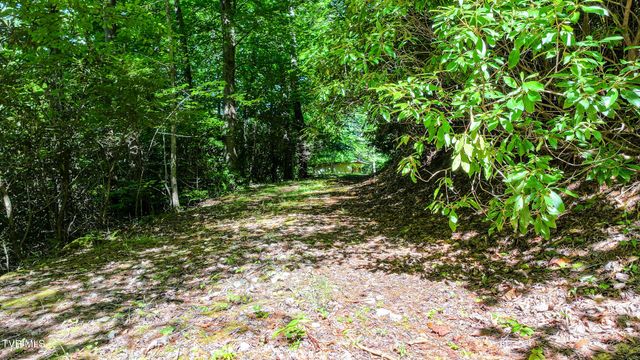 390 Fiddlers Branch Road, Hampton, TN 37658