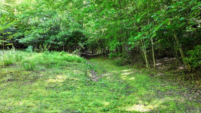 390 Fiddlers Branch Road, Hampton, TN 37658