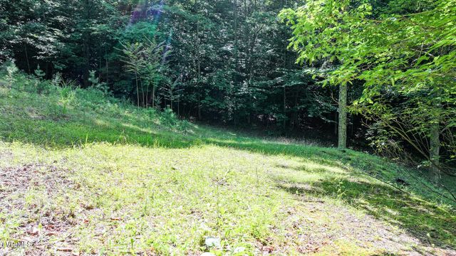 390 Fiddlers Branch Road, Hampton, TN 37658