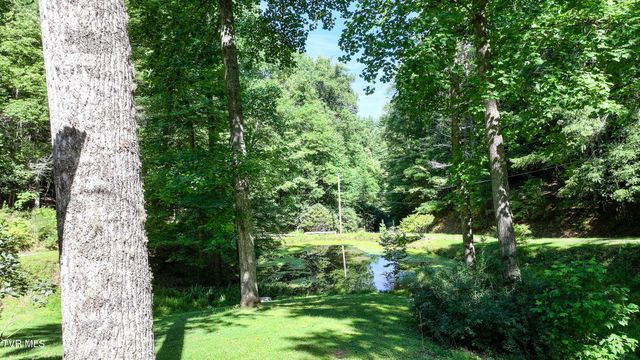 390 Fiddlers Branch Road, Hampton, TN 37658
