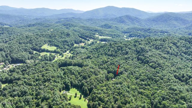 390 Fiddlers Branch Road, Hampton, TN 37658
